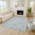 thumbnail image 1 of Addison Rugs Chantille Indoor/Outdoor Traditional Panel Sky Machine Washable Rectangle Rug, 8' x 10', 1 of 8