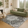 thumbnail image 1 of Addison Rugs Chantille Indoor/Outdoor Traditional Silver Machine Washable Rectangle Rug, 10' x 14', 1 of 8