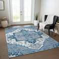 thumbnail image 1 of Addison Rugs Chantille Indoor/Outdoor Traditional Vintage Blue Washable Rectangle Rug, 10' x 14', 1 of 6