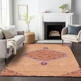 thumbnail image 1 of Addison Rugs Chantille Indoor/Outdoor Traditional Vintage Peach Washable Rectangle Rug, 2'6" x 3'10", 1 of 6