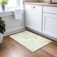thumbnail image 1 of Addison Rugs Chantille Indoor/Outdoor Transitional Abstract Aloe Washable Rectangle Rug, 1'8" x 2'6", 1 of 6