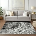thumbnail image 1 of Addison Rugs Chantille Indoor/Outdoor Transitional Abstract Black Washable Rectangle Rug, 9' x 12', 1 of 6