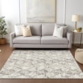 thumbnail image 1 of Addison Rugs Chantille Indoor/Outdoor Transitional Abstract Ivory Washable Rectangle Rug, 10' x 14', 1 of 6
