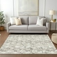 thumbnail image 1 of Addison Rugs Chantille Indoor/Outdoor Transitional Abstract Ivory Washable Rectangle Rug, 3' x 5', 1 of 6