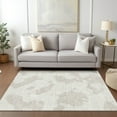 thumbnail image 1 of Addison Rugs Chantille Indoor/Outdoor Transitional Abstract Ivory Washable Rectangle Rug, 9' x 12', 1 of 6