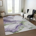 thumbnail image 1 of Addison Rugs Chantille Indoor/Outdoor Transitional Abstract Purple Washable Rectangle Rug, 2'6" x 3'10", 1 of 6