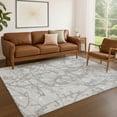 thumbnail image 1 of Addison Rugs Chantille Indoor/Outdoor Transitional Abstract Silver Machine Washable Rectangle Rug, 3' x 5', 1 of 8