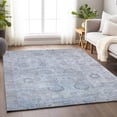 thumbnail image 1 of Addison Rugs Chantille Indoor/Outdoor Transitional Border Sky Machine Washable Rectangle Rug, 10' x 14', 1 of 7