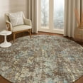 thumbnail image 1 of Addison Rugs Chantille Indoor/Outdoor Transitional Casual Brown Machine Washable Round Rug, 8' x 8', 1 of 7