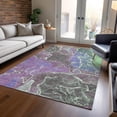 thumbnail image 1 of Addison Rugs Chantille Indoor/Outdoor Transitional Contemporary Purple Machine Washable Rectangle Rug, 9' x 12', 1 of 7