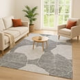 thumbnail image 1 of Addison Rugs Chantille Indoor/Outdoor Transitional Floral Gray Machine Washable Rectangle Rug, 8' x 10', 1 of 8
