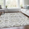 thumbnail image 1 of Addison Rugs Chantille Indoor/Outdoor Transitional Floral Silver Washable Rectangle Rug, 9' x 12', 1 of 6