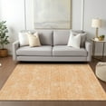thumbnail image 1 of Addison Rugs Chantille Indoor/Outdoor Transitional Geometric Peach Washable Rectangle Rug, 5' x 7'6", 1 of 6