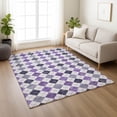 thumbnail image 1 of Addison Rugs Chantille Indoor/Outdoor Transitional Geometric Plum Machine Washable Rectangle Rug, 3' x 5', 1 of 8