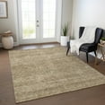 thumbnail image 1 of Addison Rugs Chantille Indoor/Outdoor Transitional Geometric Wheat Washable Rectangle Rug, 9' x 12', 1 of 6