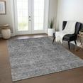 thumbnail image 1 of Addison Rugs Chantille Indoor/Outdoor Transitional Global Gray Washable Rectangle Rug, 3' x 5', 1 of 6