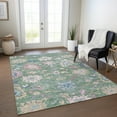 thumbnail image 1 of Addison Rugs Chantille Indoor/Outdoor Transitional Global Sage Washable Rectangle Rug, 2'6" x 3'10", 1 of 6