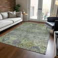 thumbnail image 1 of Addison Rugs Chantille Indoor/Outdoor Transitional Global Sage Washable Rectangle Rug, 9' x 12', 1 of 6