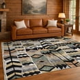 thumbnail image 1 of Addison Rugs Chantille Indoor/Outdoor Transitional Lodge Black Machine Washable Rectangle Rug, 10' x 14', 1 of 8