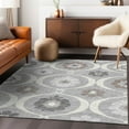 thumbnail image 1 of Addison Rugs Chantille Indoor/Outdoor Transitional Medallions Gray Washable Rectangle Rug, 3' x 5', 1 of 6