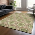 thumbnail image 1 of Addison Rugs Chantille Indoor/Outdoor Transitional Medallions Olive Washable Rectangle Rug, 9' x 12', 1 of 6