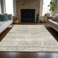 thumbnail image 1 of Addison Rugs Chantille Indoor/Outdoor Transitional Modern Beige Washable Rectangle Rug, 5' x 7'6", 1 of 6