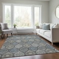 thumbnail image 1 of Addison Rugs Chantille Indoor/Outdoor Transitional Modern Gray Washable Rectangle Rug, 10' x 14', 1 of 6