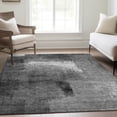 thumbnail image 1 of Addison Rugs Chantille Indoor/Outdoor Transitional Modern Gray Washable Rectangle Rug, 2'6" x 3'10", 1 of 6