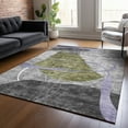 thumbnail image 1 of Addison Rugs Chantille Indoor/Outdoor Transitional Modern Olive Washable Rectangle Rug, 9' x 12', 1 of 6