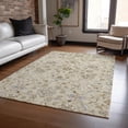 thumbnail image 1 of Addison Rugs Chantille Indoor/Outdoor Transitional Moroccan Beige Washable Rectangle Rug, 10' x 14', 1 of 6