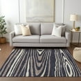 thumbnail image 1 of Addison Rugs Chantille Indoor/Outdoor Transitional Nature Black Washable Rectangle Rug, 8' x 10', 1 of 6