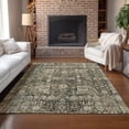 thumbnail image 1 of Addison Rugs Chantille Indoor/Outdoor Transitional Panel Coffee Washable Rectangle Rug, 5' x 7'6", 1 of 6