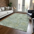 thumbnail image 1 of Addison Rugs Chantille Indoor/Outdoor Transitional Panel Sage Washable Rectangle Rug, 9' x 12', 1 of 6
