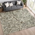 thumbnail image 1 of Addison Rugs Chantille Indoor/Outdoor Contemporary Abstract Basil Machine Washable Rectangle Rug, 10' x 14', 1 of 8