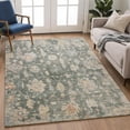 thumbnail image 1 of Addison Rugs Chantille Indoor/Outdoor Traditional Basil Machine Washable Rectangle Rug, 3' x 5', 1 of 8