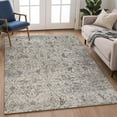thumbnail image 1 of Addison Rugs Chantille Indoor/Outdoor Traditional Beige Machine Washable Rectangle Rug, 10' x 14', 1 of 8