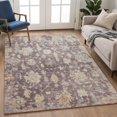 thumbnail image 1 of Addison Rugs Chantille Indoor/Outdoor Traditional Eggplant Machine Washable Rectangle Rug, 8' x 10', 1 of 8