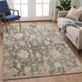thumbnail image 1 of Addison Rugs Chantille Indoor/Outdoor Traditional Fern Machine Washable Rectangle Rug, 9' x 12', 1 of 8