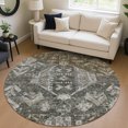 thumbnail image 1 of Addison Rugs Chantille Indoor/Outdoor Traditional Pewter Machine Washable Round Rug, 8' x 8', 1 of 8