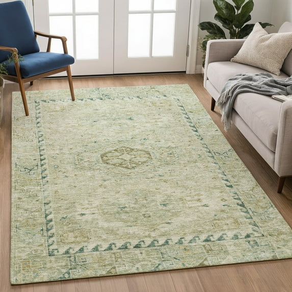 Addison Rugs Chantille Indoor/Outdoor Traditional Sage Machine Washable Rectangle Rug, 8' x 10'