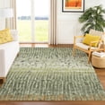 thumbnail image 1 of Addison Rugs Chantille Indoor/Outdoor Transitional Abstract Olive Machine Washable Rectangle Rug, 8' x 10', 1 of 8