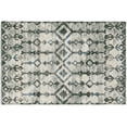 thumbnail image 1 of Addison Rugs Indoor/ Outdoor Addison Bravado Morroccan Washable Area Rug 1'8" x 2'6" - Ash, 1 of 8