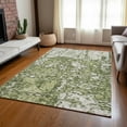 thumbnail image 1 of Addison Rugs Chantille Indoor/Outdoor Transitional Abstract Olive Washable Rectangle Rug, 2'6" x 3'10", 1 of 6