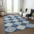 thumbnail image 1 of Addison Rugs Chantille Indoor/Outdoor Transitional Formal Navy Washable Rectangle Rug, 10' x 14', 1 of 6