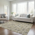 thumbnail image 1 of Addison Rugs Chantille Indoor/Outdoor Transitional Panel Beige Washable Rectangle Rug, 10' x 14', 1 of 6