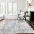 thumbnail image 1 of Addison Rugs Chantille Indoor/Outdoor Transitional Modern Silver Washable Rectangle Rug, 5' x 7'6", 1 of 6