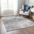 thumbnail image 1 of Addison Rugs Chantille Indoor/Outdoor Transitional Modern Silver Washable Rectangle Rug, 9' x 12', 1 of 5