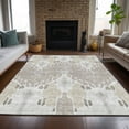 thumbnail image 1 of Addison Rugs Chantille Indoor/Outdoor Transitional Ikat Ivory Washable Rectangle Rug, 9' x 12', 1 of 6