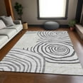 thumbnail image 1 of Addison Rugs Chantille Indoor/Outdoor Transitional Swirls Gray Washable Rectangle Rug, 2'6" x 3'10", 1 of 6