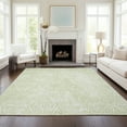 thumbnail image 1 of Addison Rugs Chantille Indoor/Outdoor Transitional Diamond Aloe Washable Rectangle Rug, 3' x 5', 1 of 6